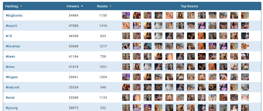Chaturbate categories and tags